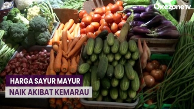 Kemarau Panjang, Sayur Mayur Alami Kenaikan Harga