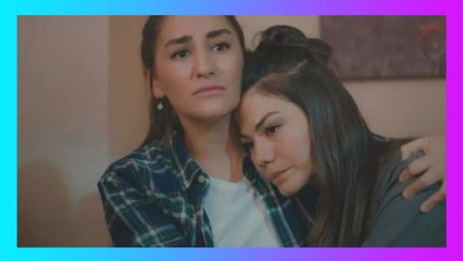 Mi hogar, mi destino Capítulo 61: Zeynep se enfrenta a una decepción inesperada 😢