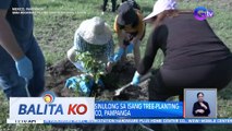 Food security, isinulong sa isang tree-planting activity sa Mexico, Pampanga | BK