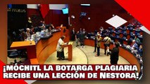 ¡VEAN! ¡’Móchitl’, la botarga plagiaria, candigata del Sr. X. recibe una lección de Nestora Salgado!