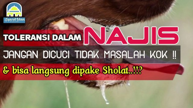 TOLERANSI PADA NAJIS || BERMACAM NAJIS DAN CARA MENSUCIKANNYA !!