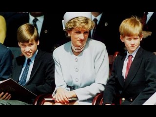 Teenage Wills and Harry given SAS shoot-to-kill drills