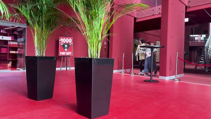 Wystawa w Szczecinie