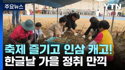 한글날 연휴 가을 정취 만끽...축제 즐기고 인삼 캐고! / YTN