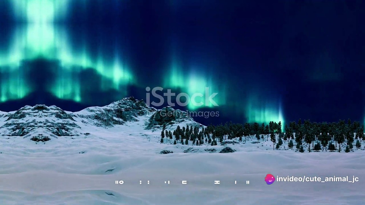 Arctic Adventures: Life in the Frozen Tundra