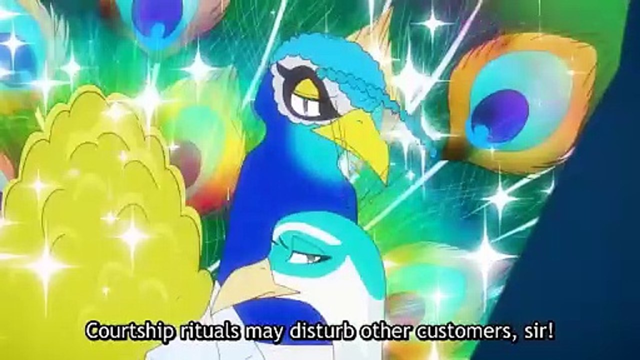 The concierge trailer omeu