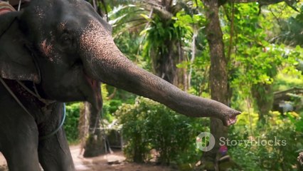 Cute Baby Animal Moments: Awww Overload