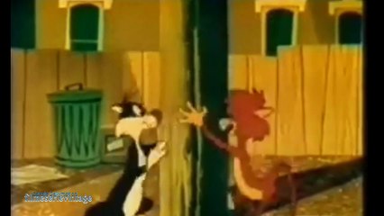 Un'Amicizia Sincera Silvestro e Titti