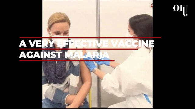 This lethal disease could be eradicated by 2040, according to science