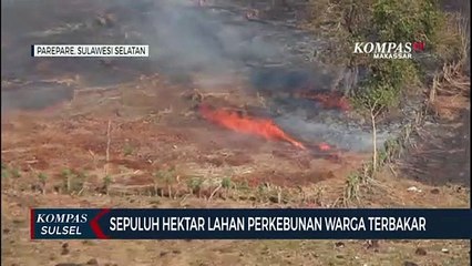 Sepuluh Hektar Lahan Perkebunan Warga Terbakar