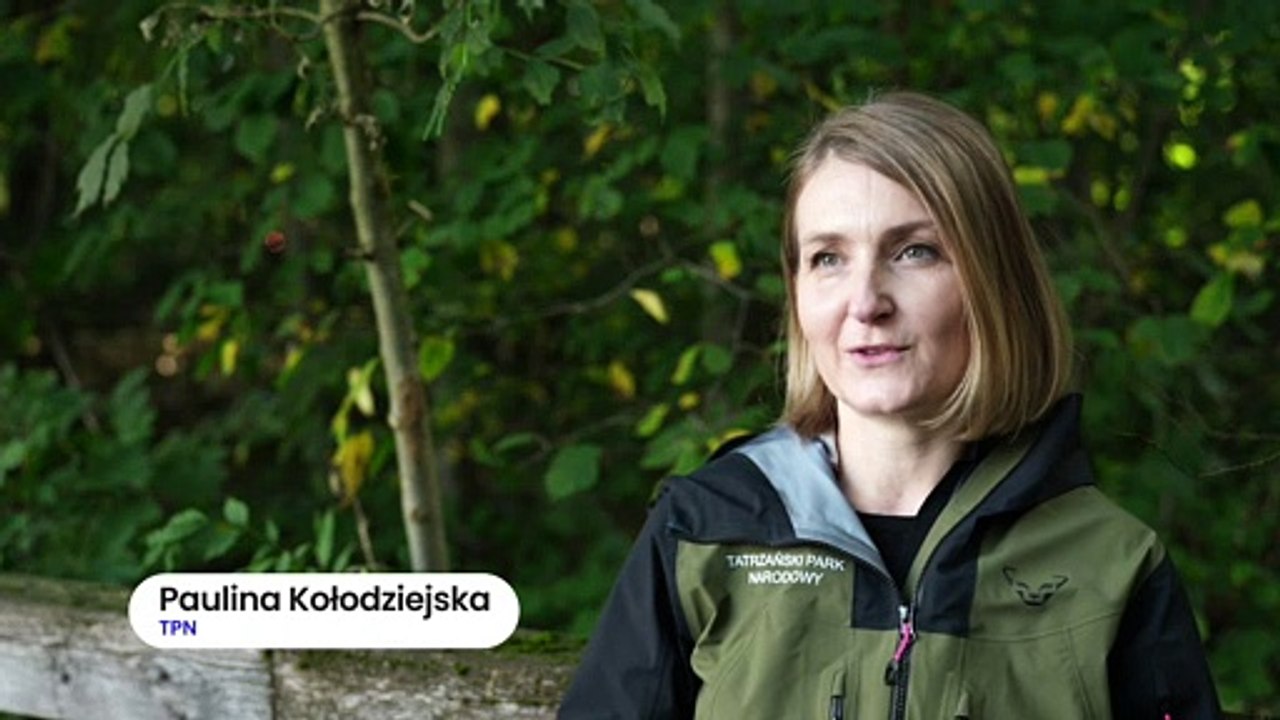 Zakopane - Tatry - nowa, bezpieczniejsza drabinka na Orlej Perci