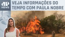 Focos de queimadas aumentam em algumas regiões do Brasil | Previsão do Tempo
