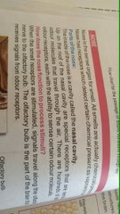 Chapter Two Sense Organs Nose