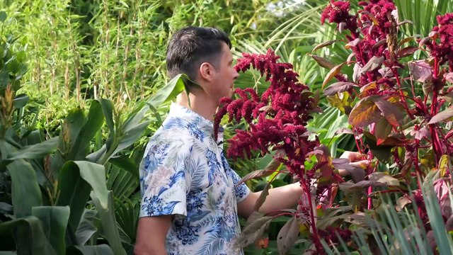 Garden jungle: Yorkshire man creates incredible jungle in back garden of Wakefield Home