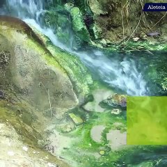 Les cinq lieux miraculeux dans lesquels Dieu utilise l'eau pour guérir