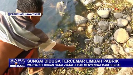 Download Video: Sungai di Pasuruhan Tercemar Limbah Pabrik, Warga Keluhkan Gatal-Gatal dan Bau Menyengat