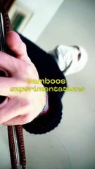 Bamboos experimentations