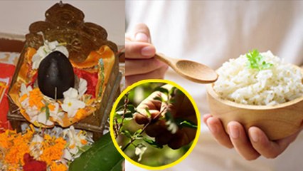 Indira Ekadashi 2023: इंदिरा एकादशी व्रत में क्या करना चाहिए क्या नहीं | Boldsky