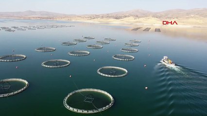 Le ministre de l'Agriculture et des Forêts, İbrahim Yumaklı, envisage de lancer l'ostréiculture en Turquie