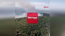 İzmir Bayındır'da orman yangını