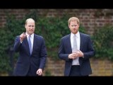 Prince Harry 'shut off his phone angrily' in bitter row with Prince William