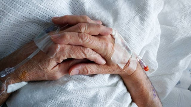 Los Artículos Sobre El Cáncer En Internet Contienen Información Erronea