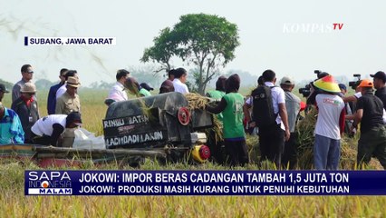 Download Video: Stok Beras di Bulog Masih Kurang, Jokowi Akan Tambah Impor 1,5 Ton Beras