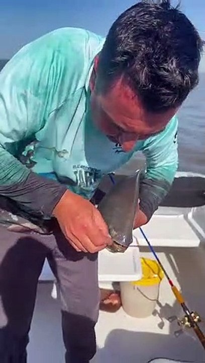 Pescaron un pacú de más de 3 kilos en El Frontal