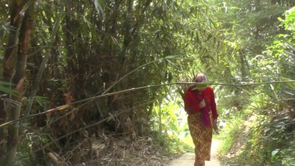 WANITA INI JAUH-JAUH MENGANGKAT KAYU BAKAR UNTUK MAMASAK