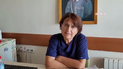 Un loup est sorti de la nourriture à l'hôpital de formation et de recherche d'Izmir Atatürk