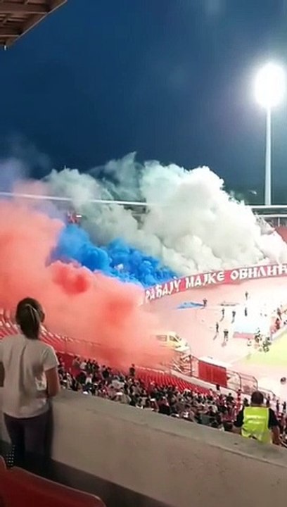 FK Crvena zvezda at home against Radnički Niš 30.09.2023. #ultras #ultrasworld #GoalGank12 #Superfans