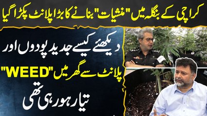Weed Factory Busted In Karachi Villa - Modern Drugs Production Plant In Pakistan