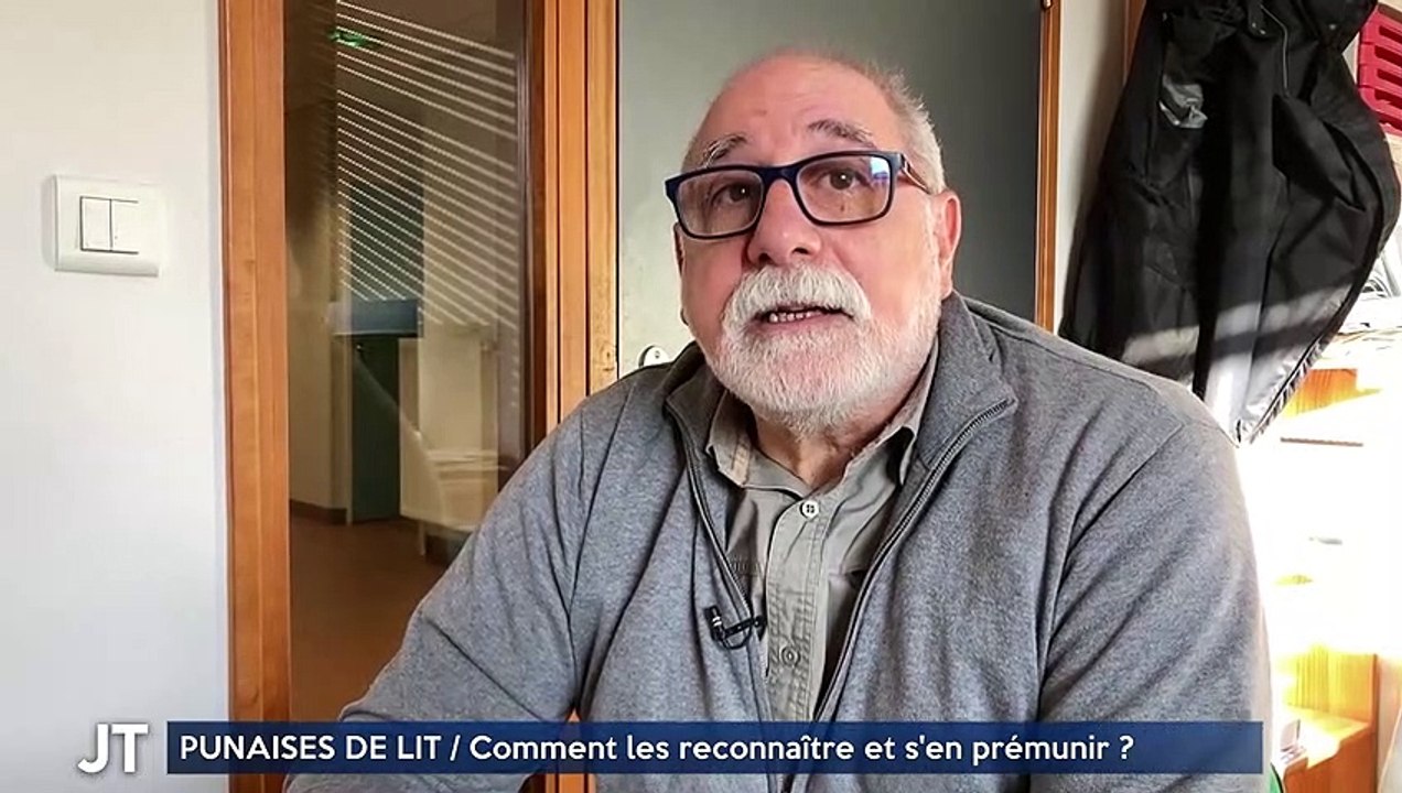 PUNAISES DE LIT / Comment les reconnaître et s'en prémunir ?