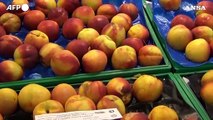 Frutta estiva e granchi blu, autunno pazzo per il caldo