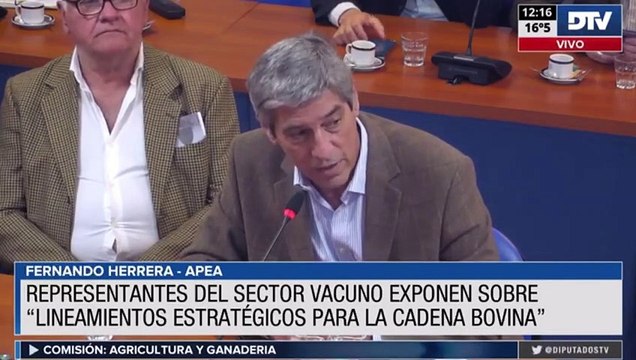 Cadena bovina: expertos expusieron los lineamientos estratégicos del proyecto