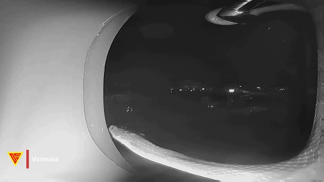 Vivint Doorbell Camera Captures a Snake Slithering Along Doorway | Doorbell Camera Video