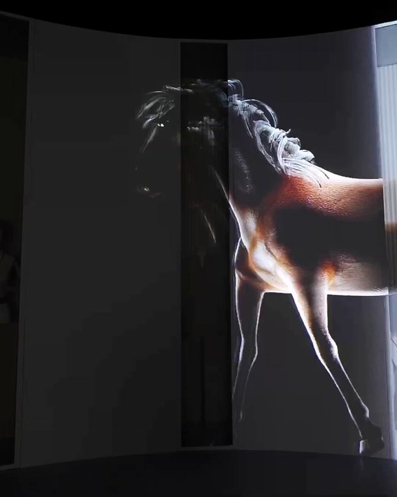 Gucci Cosmos room 2
