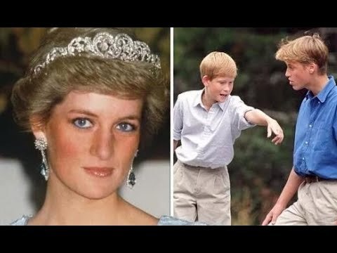 Le prince Harry a appris à être le «bras droit» de William avant une rupture déchirante