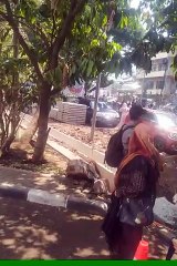 Arak-arakan Wisuda Mahasiswa UPI