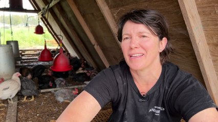 Abattoirs unable to process animals from local farmers