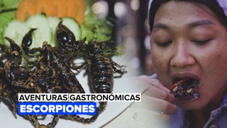 Aventuras gastronómicas: ¿Te atreverías a comer un escorpión?