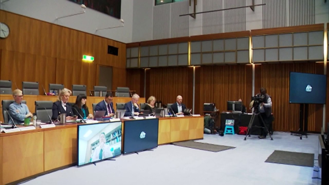 Federal Government called to inquiry to review decision to block additional Qatar Airways flights