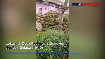 Download Video: Puluhan Rumah Rusak Diterjang Angin Puting Beliung di Jember