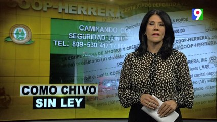 Como Chivo sin Ley | El Informe con Alicia Ortega