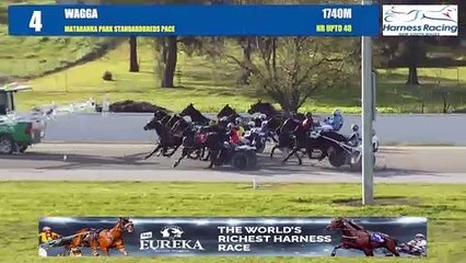 Skinnydip wins at Riverina Paceway