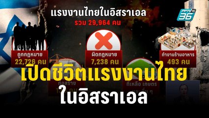 เปิดชีวิตแรงงานไทยในอิสราเอล ค่าแรงมากกว่าไทย 3 เท่า | เที่ยงทันข่าว | 10 ต.ค. 66
