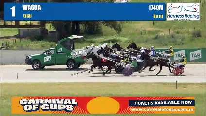 Blazing Home winning fast trial at Riverina Paceway