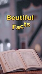 Beautiful facts about Islam