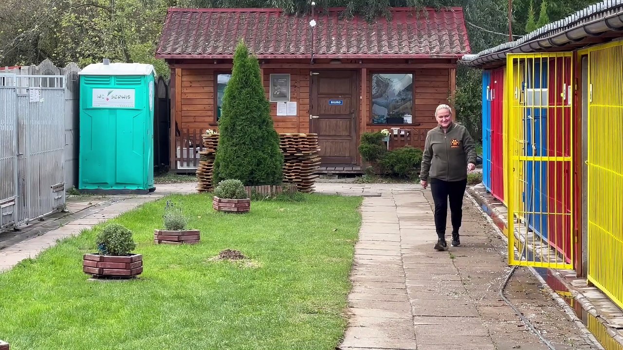 Psy i koty w schronisku w Tczewie. Zwierzaki w oczekiwaniu na nowe domy