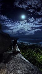 Nature moon night view